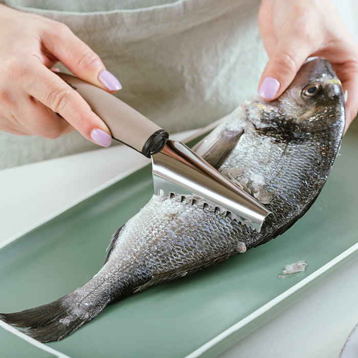 NAVA Stainless steel fish scaler "Misty" 22.5cm Made in Greece