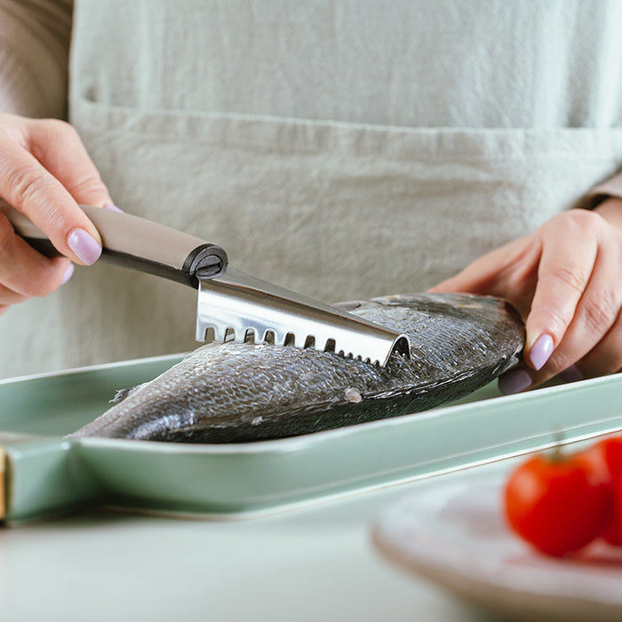 NAVA  Stainless steel fish scaler "Misty" 22.5cm Made in Greece