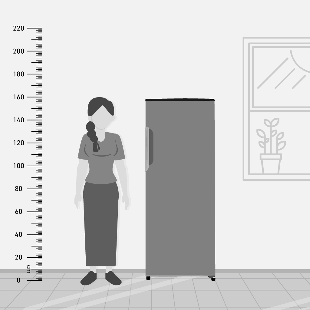 Sharp 6-Drawer 250L Digital Upright Inverter Deep Freezer - FJ-EC23-BK